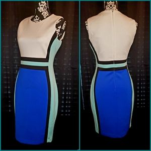 Calvin Klein Color Block Dress